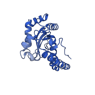 40566_8sks_A_v1-0
human liver mitochondrial Superoxide dismutase [Mn]