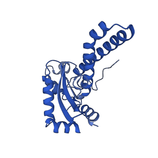 40566_8sks_B_v1-0
human liver mitochondrial Superoxide dismutase [Mn]