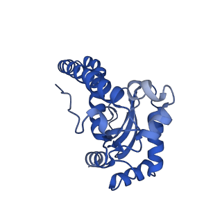 40566_8sks_C_v1-0
human liver mitochondrial Superoxide dismutase [Mn]