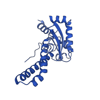 40566_8sks_D_v1-0
human liver mitochondrial Superoxide dismutase [Mn]