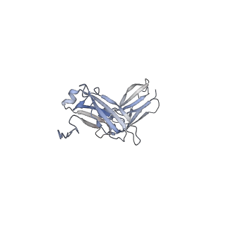 40567_8sku_A_v1-1
Structure of human SIgA1 in complex with human CD89 (FcaR1)