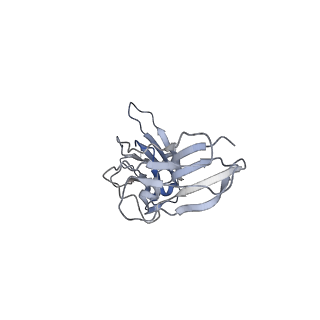 40567_8sku_D_v1-1
Structure of human SIgA1 in complex with human CD89 (FcaR1)