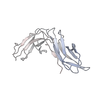 40567_8sku_R_v1-1
Structure of human SIgA1 in complex with human CD89 (FcaR1)