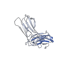 40568_8skv_A_v1-1
Structure of human SIgA1 in complex with Streptococcus pyogenes protein M4 (Arp4)