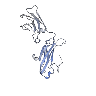 40568_8skv_B_v1-1
Structure of human SIgA1 in complex with Streptococcus pyogenes protein M4 (Arp4)