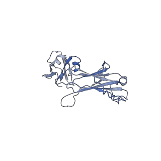 40568_8skv_C_v1-1
Structure of human SIgA1 in complex with Streptococcus pyogenes protein M4 (Arp4)