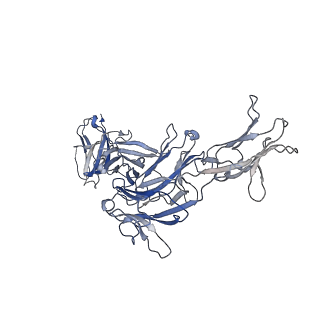40568_8skv_E_v1-1
Structure of human SIgA1 in complex with Streptococcus pyogenes protein M4 (Arp4)