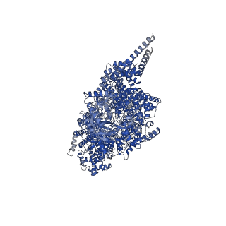 10234_6sl1_A_v1-1
Structure of the open conformation of CtTel1