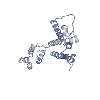 10239_6slq_A_v1-2
Structure of the native full-length HIV-1 capsid protein A92E in helical assembly (-12,11)