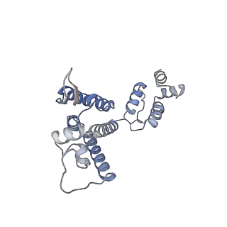 10239_6slq_D_v1-2
Structure of the native full-length HIV-1 capsid protein A92E in helical assembly (-12,11)