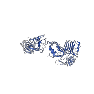 25188_7sl1_A_v1-2
Full-length insulin receptor bound with site 1 binding deficient mutant insulin (A-V3E)