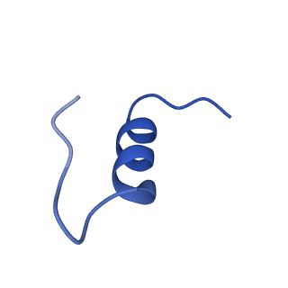 25188_7sl1_C_v1-2
Full-length insulin receptor bound with site 1 binding deficient mutant insulin (A-V3E)