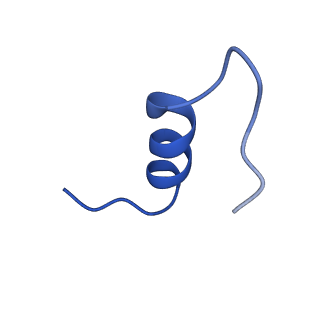 25188_7sl1_D_v1-2
Full-length insulin receptor bound with site 1 binding deficient mutant insulin (A-V3E)