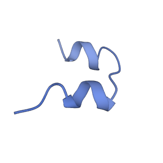 25188_7sl1_E_v1-2
Full-length insulin receptor bound with site 1 binding deficient mutant insulin (A-V3E)