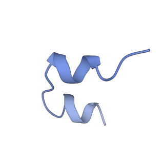 25188_7sl1_F_v1-2
Full-length insulin receptor bound with site 1 binding deficient mutant insulin (A-V3E)