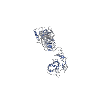 25189_7sl2_A_v1-2
Full-length insulin receptor bound with site 2 binding deficient mutant insulin (A-L13R) -- asymmetric conformation