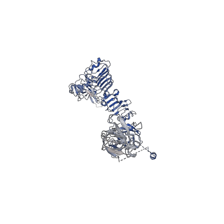 25189_7sl2_B_v1-2
Full-length insulin receptor bound with site 2 binding deficient mutant insulin (A-L13R) -- asymmetric conformation