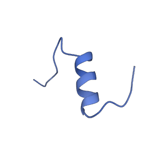 25189_7sl2_C_v1-2
Full-length insulin receptor bound with site 2 binding deficient mutant insulin (A-L13R) -- asymmetric conformation