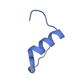 25189_7sl2_F_v1-2
Full-length insulin receptor bound with site 2 binding deficient mutant insulin (A-L13R) -- asymmetric conformation
