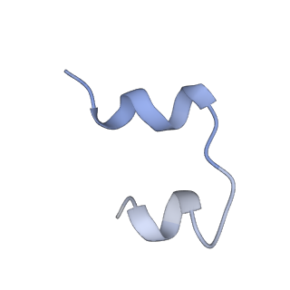 25189_7sl2_G_v1-2
Full-length insulin receptor bound with site 2 binding deficient mutant insulin (A-L13R) -- asymmetric conformation