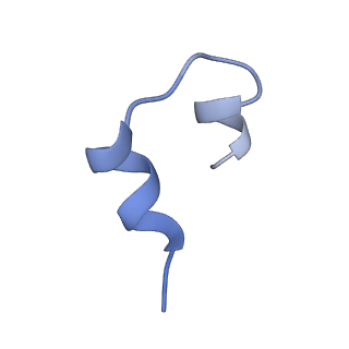 25189_7sl2_J_v1-2
Full-length insulin receptor bound with site 2 binding deficient mutant insulin (A-L13R) -- asymmetric conformation