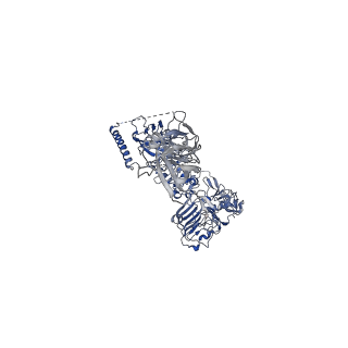 25190_7sl3_A_v1-2
Full-length insulin receptor bound with site 2 binding deficient mutant insulin (A-L13R) -- symmetric conformation