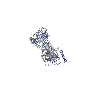 25190_7sl3_B_v1-2
Full-length insulin receptor bound with site 2 binding deficient mutant insulin (A-L13R) -- symmetric conformation