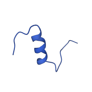 25190_7sl3_C_v1-2
Full-length insulin receptor bound with site 2 binding deficient mutant insulin (A-L13R) -- symmetric conformation