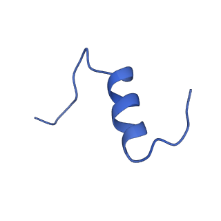 25190_7sl3_D_v1-2
Full-length insulin receptor bound with site 2 binding deficient mutant insulin (A-L13R) -- symmetric conformation