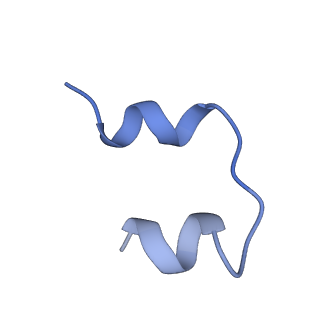 25190_7sl3_F_v1-2
Full-length insulin receptor bound with site 2 binding deficient mutant insulin (A-L13R) -- symmetric conformation