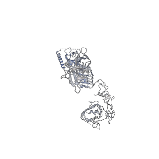 25191_7sl4_A_v1-2
Full-length insulin receptor bound with site 2 binding deficient mutant insulin (B-L17R) -- asymmetric conformation