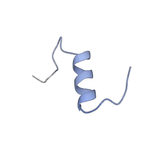 25191_7sl4_C_v1-2
Full-length insulin receptor bound with site 2 binding deficient mutant insulin (B-L17R) -- asymmetric conformation