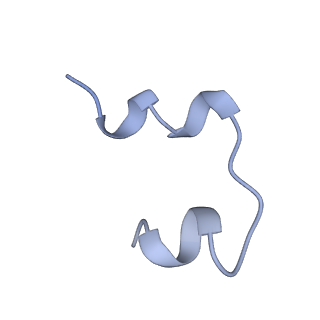25191_7sl4_E_v1-2
Full-length insulin receptor bound with site 2 binding deficient mutant insulin (B-L17R) -- asymmetric conformation