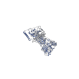 25192_7sl6_A_v1-2
Full-length insulin receptor bound with site 2 binding deficient mutant insulin (B-L17R) -- symmetric conformation