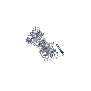 25192_7sl6_B_v1-2
Full-length insulin receptor bound with site 2 binding deficient mutant insulin (B-L17R) -- symmetric conformation