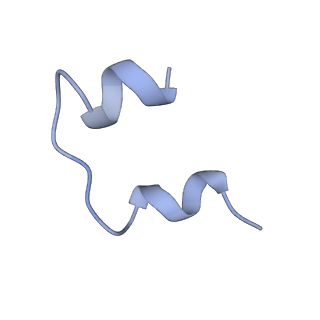 25192_7sl6_C_v1-2
Full-length insulin receptor bound with site 2 binding deficient mutant insulin (B-L17R) -- symmetric conformation