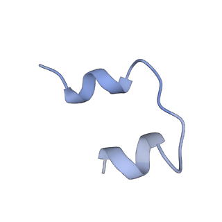 25192_7sl6_D_v1-2
Full-length insulin receptor bound with site 2 binding deficient mutant insulin (B-L17R) -- symmetric conformation