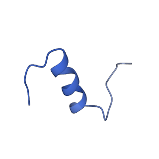 25192_7sl6_E_v1-2
Full-length insulin receptor bound with site 2 binding deficient mutant insulin (B-L17R) -- symmetric conformation