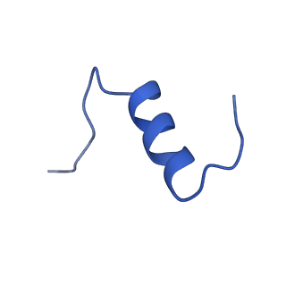 25192_7sl6_F_v1-2
Full-length insulin receptor bound with site 2 binding deficient mutant insulin (B-L17R) -- symmetric conformation