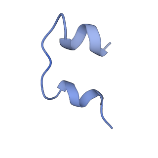 25193_7sl7_C_v1-2
Full-length insulin receptor bound with both site 1 binding deficient mutant insulin (A-V3E) and site 2 binding deficient mutant insulin (A-L13R)