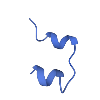 25193_7sl7_D_v1-2
Full-length insulin receptor bound with both site 1 binding deficient mutant insulin (A-V3E) and site 2 binding deficient mutant insulin (A-L13R)