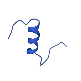 25193_7sl7_G_v1-2
Full-length insulin receptor bound with both site 1 binding deficient mutant insulin (A-V3E) and site 2 binding deficient mutant insulin (A-L13R)
