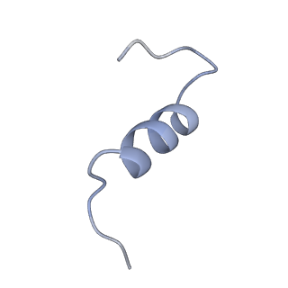 25193_7sl7_I_v1-2
Full-length insulin receptor bound with both site 1 binding deficient mutant insulin (A-V3E) and site 2 binding deficient mutant insulin (A-L13R)