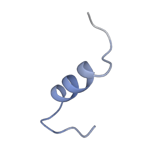 25193_7sl7_J_v1-2
Full-length insulin receptor bound with both site 1 binding deficient mutant insulin (A-V3E) and site 2 binding deficient mutant insulin (A-L13R)