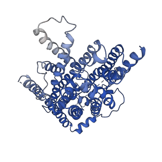 25195_7sl9_A_v1-2
CryoEM structure of SMCT1