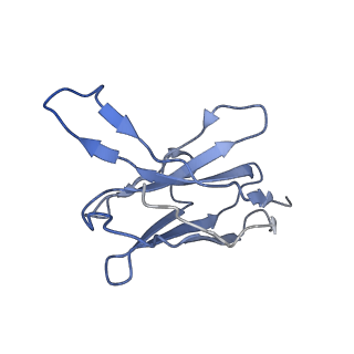 25195_7sl9_B_v1-2
CryoEM structure of SMCT1