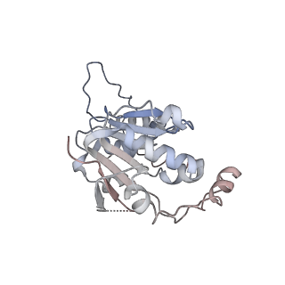 25197_7slp_A_v1-2
Cryo-EM structure of 7SK core RNP with linear RNA