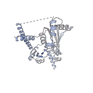 25197_7slp_B_v1-2
Cryo-EM structure of 7SK core RNP with linear RNA