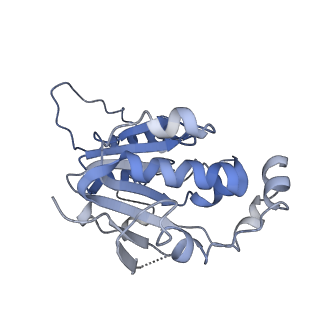 25198_7slq_A_v1-2
Cryo-EM structure of 7SK core RNP with circular RNA