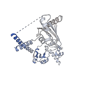 25198_7slq_B_v1-2
Cryo-EM structure of 7SK core RNP with circular RNA